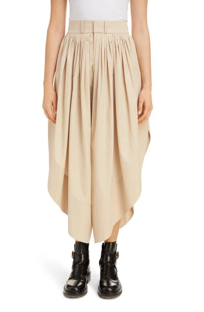 Shop Chloé Pleated Cotton Culottes In Soften Brown