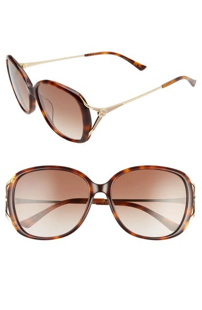 Shop Gucci 58mm Round Sunglasses In Medium Havana/ Brown