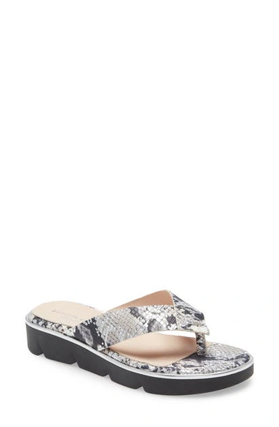 Shop Patricia Green Casablanca Flip Flop In Mix Silver Snake Print Leather