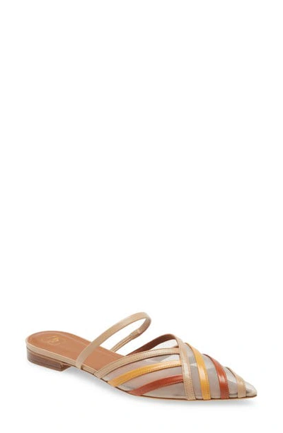 Shop Malone Souliers Paulina Mesh & Leather Stripe Mule In Oatmeal/ Brown