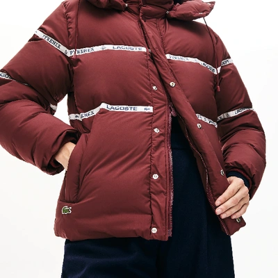 Lacoste Unisex X Pyrenex Lightweight Puffer Coat In Bordeaux