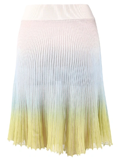 Shop Jacquemus Pleated Sheer Midi Skirt In Multi