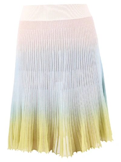 Shop Jacquemus Pleated Sheer Midi Skirt In Multi