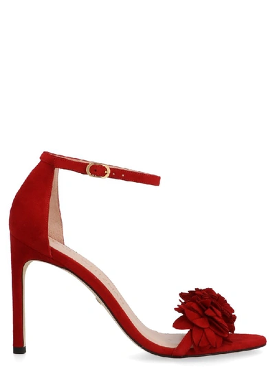 Shop Stuart Weitzman Floral Sandals In Red