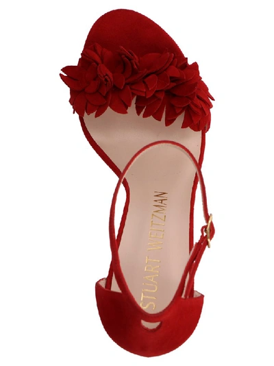 Shop Stuart Weitzman Floral Sandals In Red