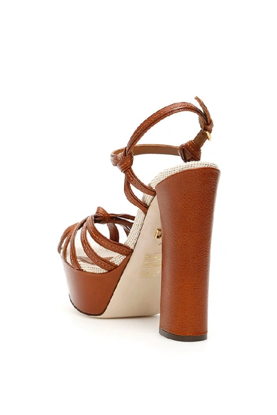 Shop Dolce & Gabbana Keira Sandals In Brown