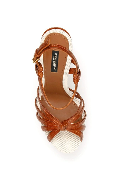 Shop Dolce & Gabbana Keira Sandals In Brown