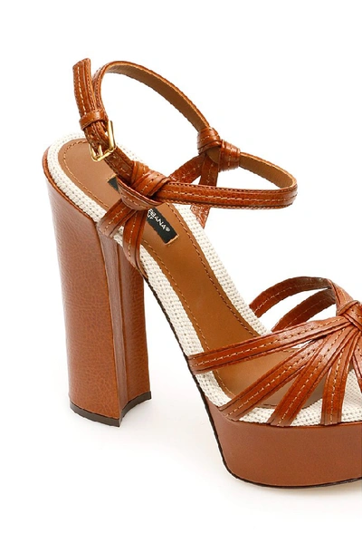 Shop Dolce & Gabbana Keira Sandals In Brown