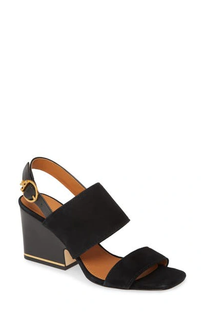 Shop Tory Burch Selby Block Heel Sandal In Perfect Black/ Perfect Black