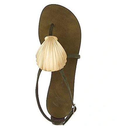 Shop Giuseppe Zanotti Seashell Thong Sandals In Khaki