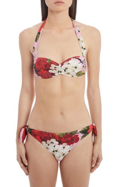 Shop Dolce & Gabbana Floral Print Bikini Top In Pink Red Floral