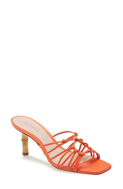 Shop Schutz Dileni Strappy Slide Sandal In Flame Orange Leather