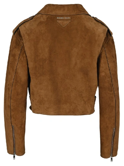 Shop Prada Cropped Biker Jacket In Brown