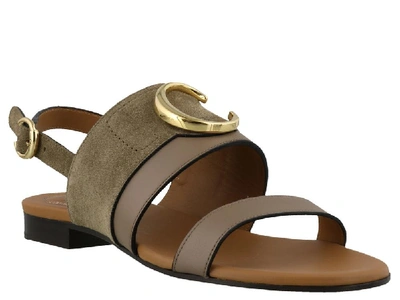 Shop Chloé C Plaque Sandals In Brown