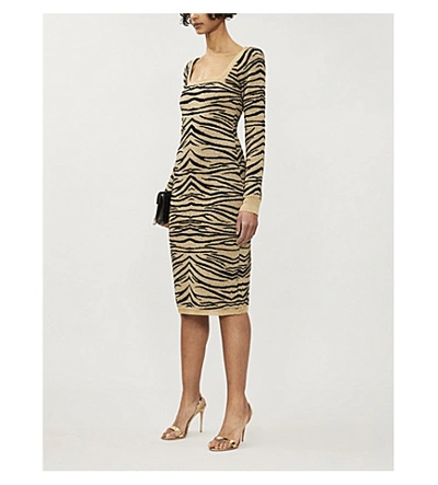 Shop Dundas Tiger-pattern Metallic-knit Midi Dress In Black Gold