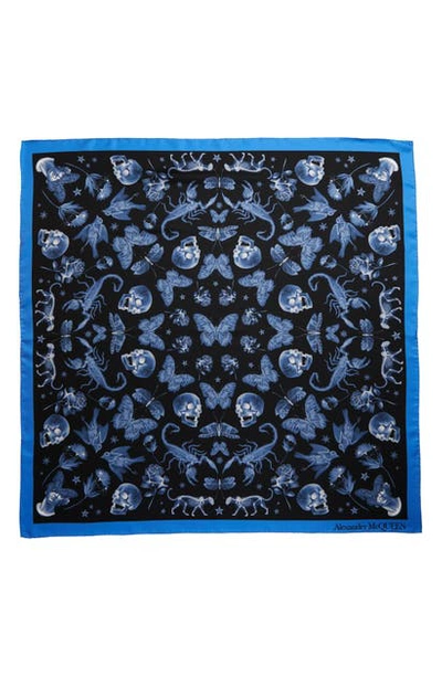 Shop Alexander Mcqueen Botanical X-rays Bandana Scarf In Navy/ Sky Blue