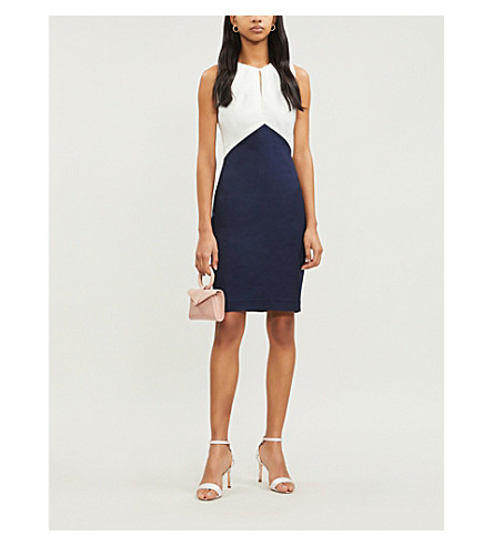 ted baker zamelid dress
