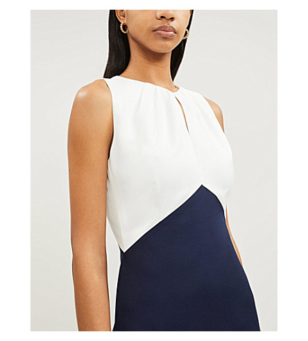ted baker zamelid dress