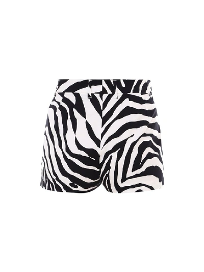 Shop Dolce & Gabbana Zebra Print Shorts In Multi