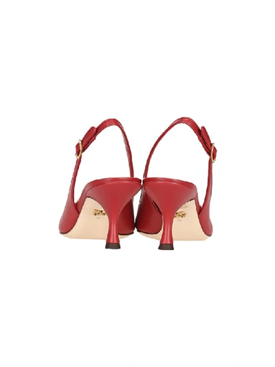 Shop Dolce & Gabbana Devotion Pumps In Red