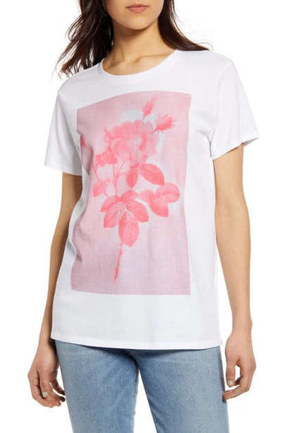 Shop Lucky Brand Monochrome Rose Graphic Cotton Tee In Lucky White