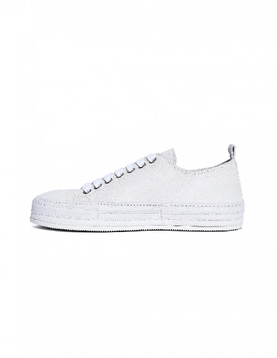 Shop Ann Demeulemeester White Suede Sneakers