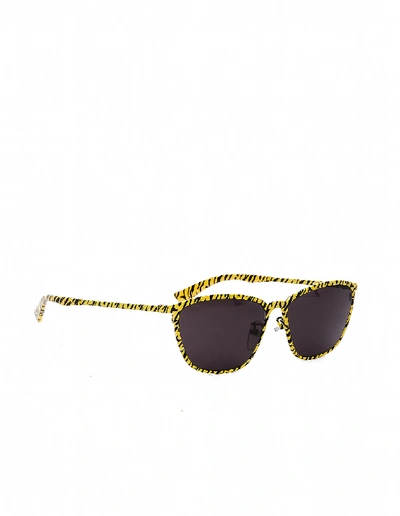 Balenciaga Yellow Zebra Printed D-frame Sunglasses In Yellow
