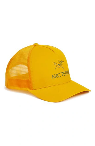 Shop Arc'teryx Logo Trucker Hat In Quantum