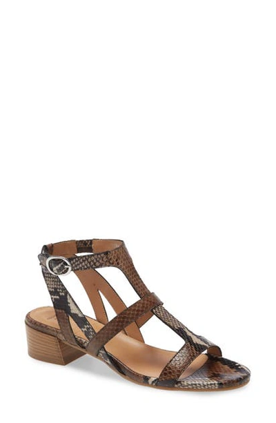 Shop Aquatalia Hermione Sandal In Brown Snake Print