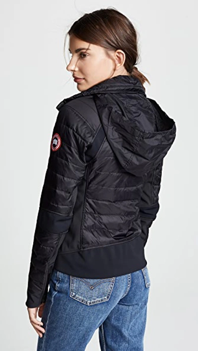 Shop Canada Goose Hybridge Perren Jacket In Black