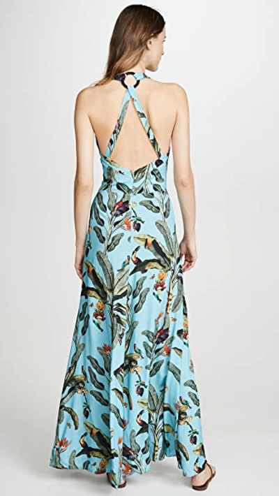 Shop Patbo Tropical Print Halterneck Maxi Dress In Cerulean