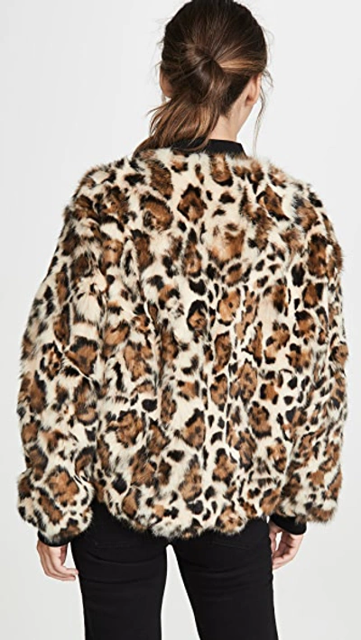 Shop Adrienne Landau Rabbit Jacket In Black/leopard