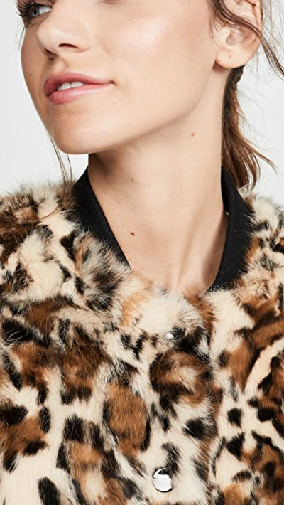 Shop Adrienne Landau Rabbit Jacket In Black/leopard