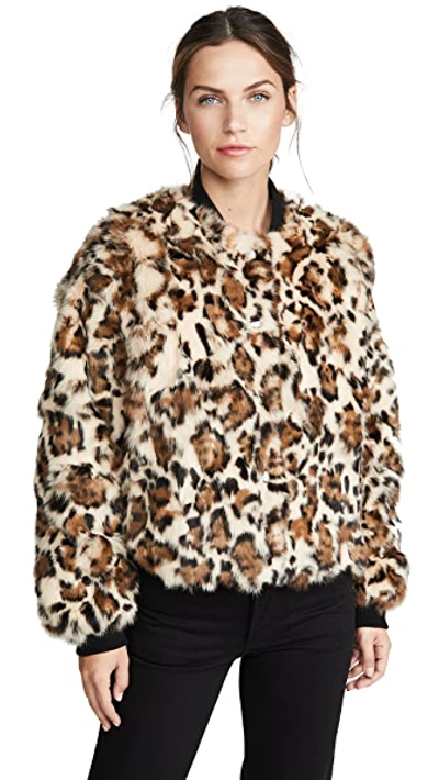 Shop Adrienne Landau Rabbit Jacket In Black/leopard