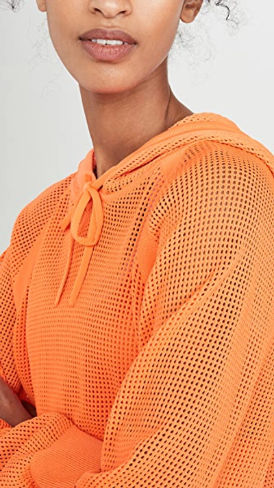 Shop Adam Selman Sport Knit Mesh Hoodie In Hazard