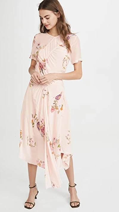 Shop Preen By Thornton Bregazzi Preen Line Shae Dress In Haunted Floral Pink