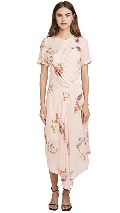 Shop Preen By Thornton Bregazzi Preen Line Shae Dress In Haunted Floral Pink