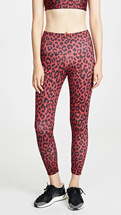 Shop Onzie High Basic Midi Leggings In Red Leopard