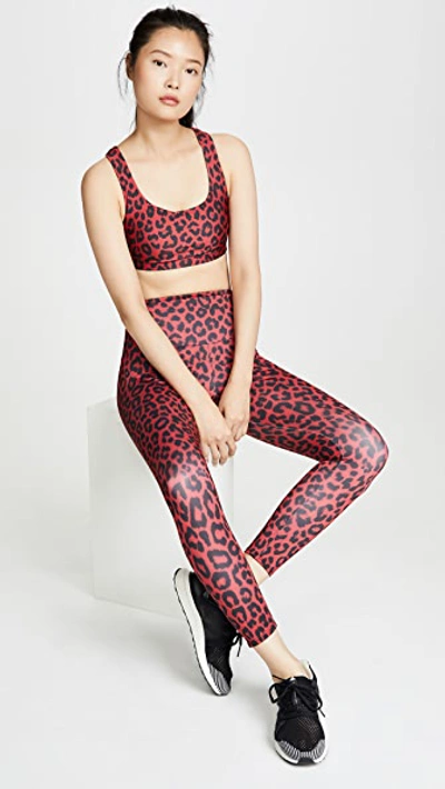 Shop Onzie High Basic Midi Leggings In Red Leopard