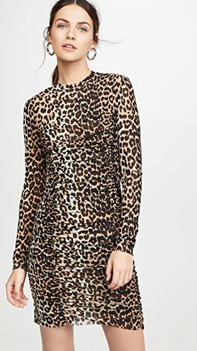 Shop Ganni Printed Mesh Dress In Leopard