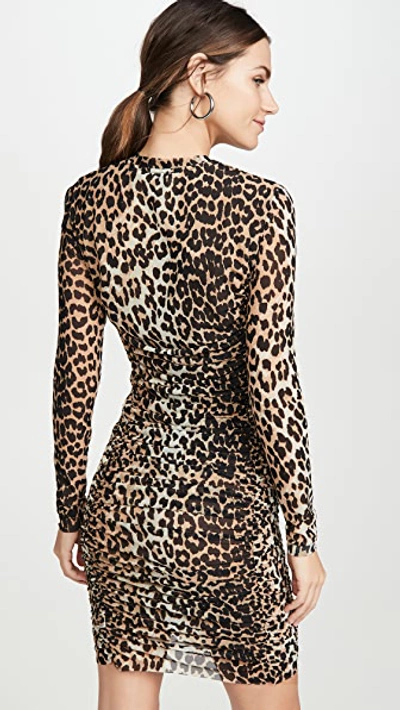 Shop Ganni Printed Mesh Dress In Leopard
