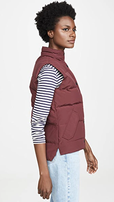 Shop Canada Goose Freestyle Vest In Elderberry