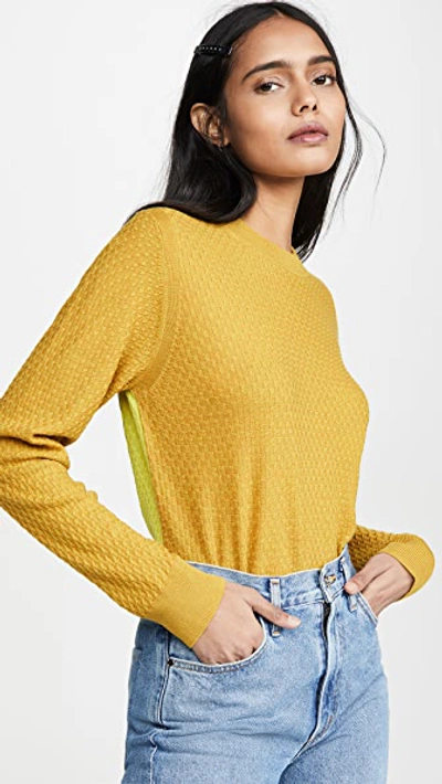 Gold/Lime Sweater