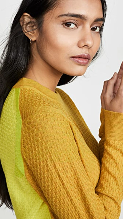 Gold/Lime Sweater