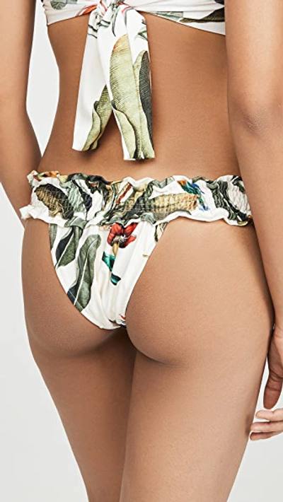 Shirred Tropical Print Bikini Bottoms