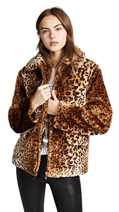 Shop Anine Bing Molly Faux Fur Jacket In Leopard