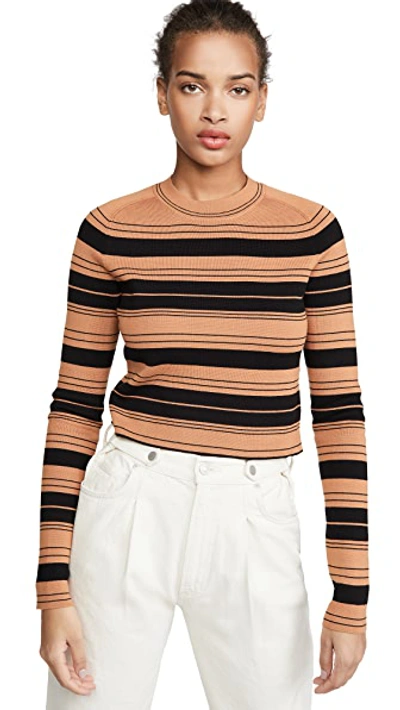 Shop Proenza Schouler White Label Compact Stripe Cropped Pullover In Black/cinnamon