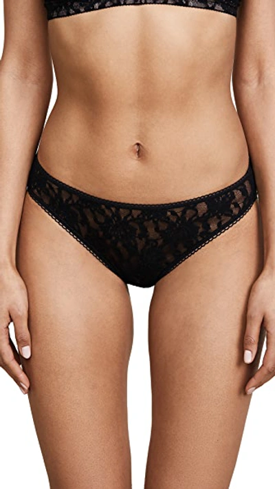 Shop Hanky Panky Signature Lace Bikini Briefs In Black