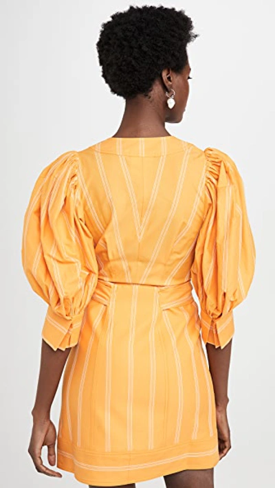 Shop Acler Wyatt Dress In Pumpkin Stripe