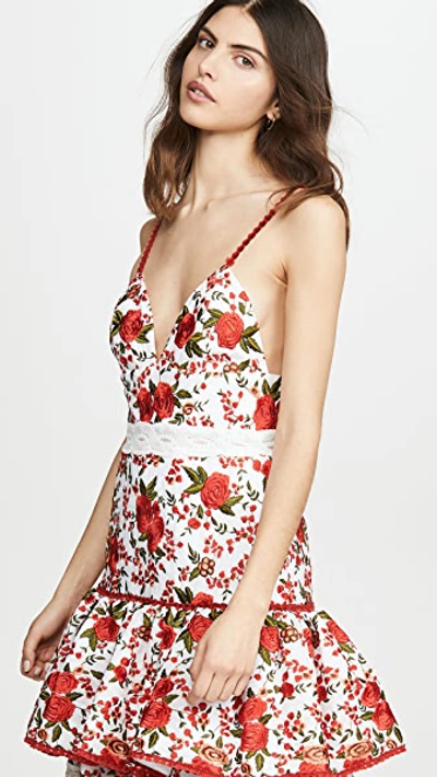 Shop Alexis Naomie Dress In Rose Embroidery